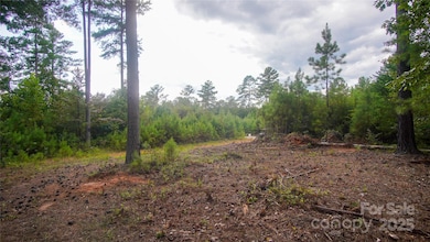 00 Scenic Dr unit 178, Granite Falls, NC 28630 - photo 4