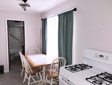 203.5 S Lincoln Rd, Escanaba, MI 49829 - photo 4