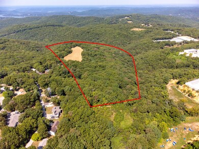 000 Kristina Ln, Kimberling City, MO 65686 - photo 5