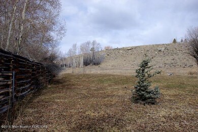 House outside rear north lot.jpg