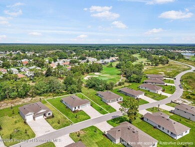 9195 Players Dr, Weeki Wachee, FL 34613 - photo 5