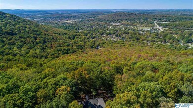 2908 Green Mountain Rd SE, Huntsville, AL 35803 - photo 4