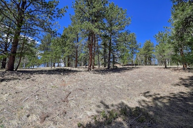 112 Blue Jay Ln, Divide, CO 80814 - photo 6