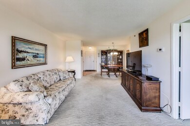 3330 N Leisure World Blvd unit 5-1015, Silver Spring, MD 20906 - photo 6