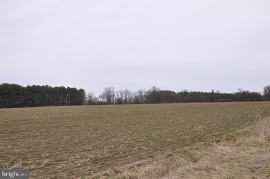 0 Flatland Rd unit MDKE113918, Chestertown, MD 21620 - photo 4