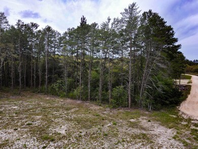 0 Sea Eagle Dr, Perry, FL 32348 - photo 6