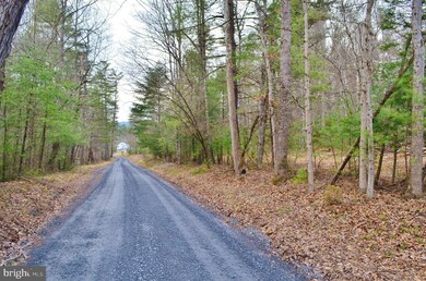 0 Dellinger Acres Rd, Edinburg, VA 22824 - photo 4