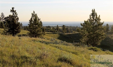 Nhn Lone Rock Canyon Lot: Sc-28, Hysham, MT 59076 - photo 3