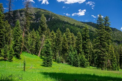 Tract 1A-1 Chief Joseph Trail, Big Sky, MT 59716 - photo 4