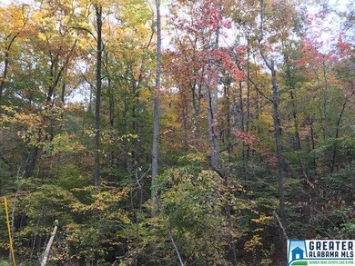 853 Pine Mountain Rd unit 1 Lot, Remlap, AL 35133 - photo 7