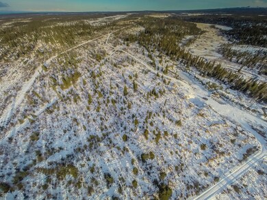 30434 Right Bank, Anchor Point, AK 99556 - photo 4