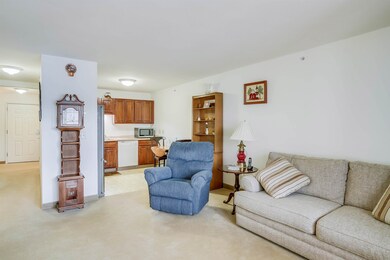 486 Nashua St unit 308, Milford, NH 03055 - photo 7