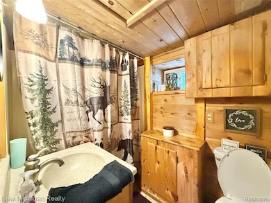 Bathroom featuring wooden walls, a shower with shower curtain, wood ceiling, and vanity