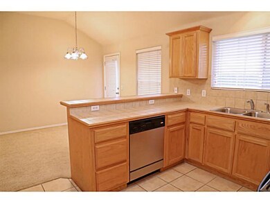 1105 Falco Concolor Dr, Norman, OK 73072 - photo 4