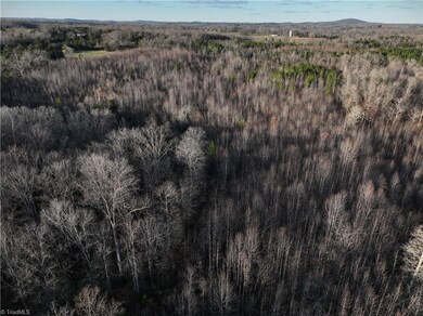 0 Old Bachelor Creek Rd, Seagrove, NC 27341 - photo 5