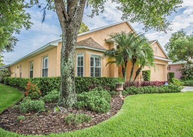 509 Cypress View Dr, Oldsmar, FL 34677 - photo 3