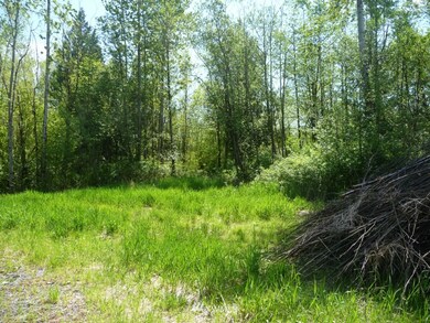 23919 4th Ave NW, Stanwood, WA 98292 - photo 3