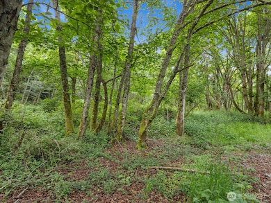 4061 S Eagle Ridge Dr, Camano, WA 98282 - photo 4