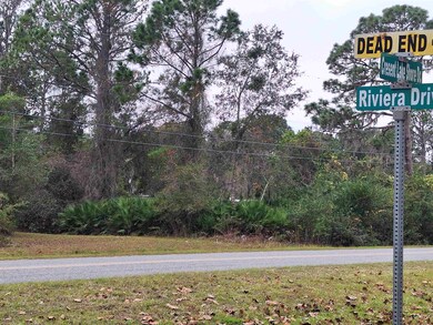 203 Crescent Lake Shore Dr, Crescent City, FL 32112 - photo 3