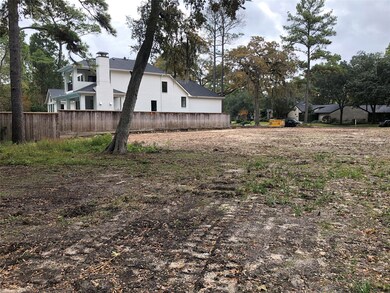 10102 Briar Dr, Houston, TX 77042 - photo 4