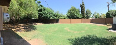 Cedar St. backyard