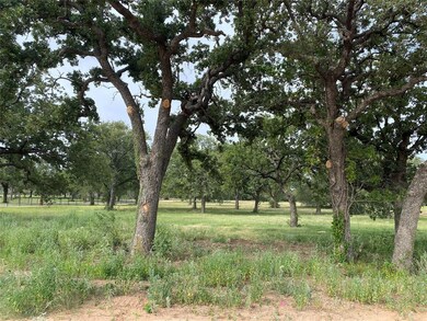 4100 Old Dennis Rd, Weatherford, TX 76087 - photo 6