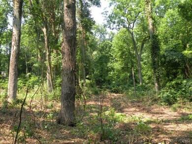 5476 Acorn Dr, Emmaus, PA 18049 - photo 3