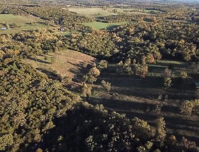 7776 State Highway 39, Aurora, MO 65605 - photo 7