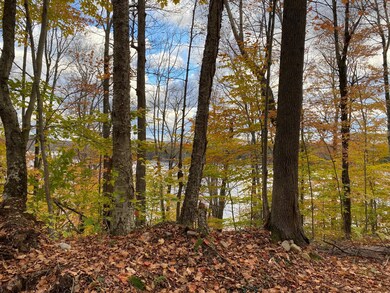 IMG_9532