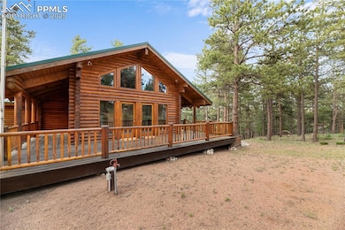 170 Druid Trail, Florissant, CO 80816 - photo 4