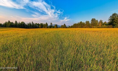 Open pasture land