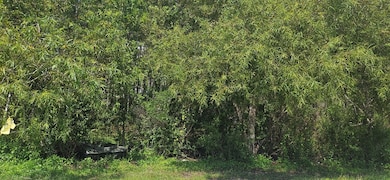 905 NE 6th St, Carrabelle, FL 32322 - photo 3