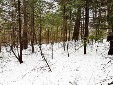Map 18 Lot 15 Summit View Dr, Moultonborough, NH 03254 - photo 6