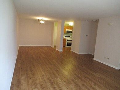 1906 Mayan Ct, Joliet, IL 60435 - photo 5