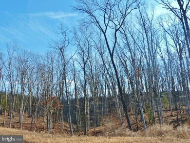 LOT 41 Comforter Ln, North River, VA 22645 - photo 6