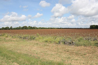 00 Philip Evan Rd, Needville, TX 77461 - photo 2