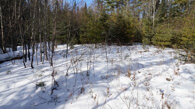 0 Nichols Rd, Dalton, NH 03598 - photo 5