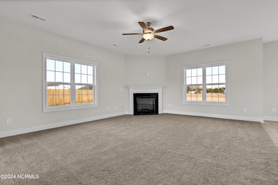 719 Puppy Drum Ln, Maysville, NC 28555 - photo 6