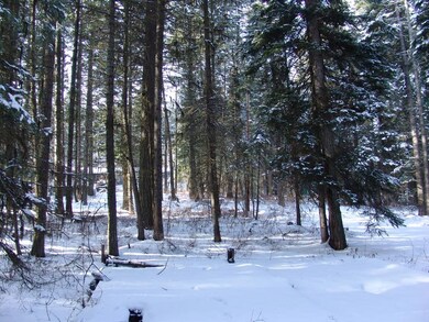 576 Teepee Rd unit 20 & 21, Cascade, ID 83611 - photo 2