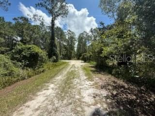 337 Palm Way, Georgetown Cove, FL 32139 - photo 3