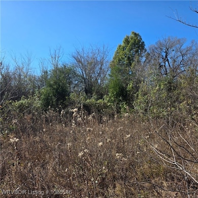 Tract 3 E 1290 Rd, McCurtain, OK 74944 - photo 5