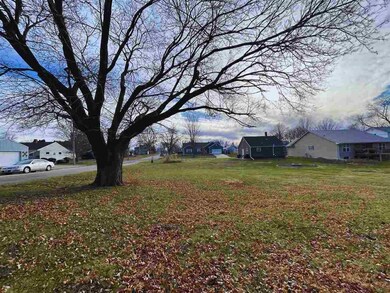 The ash tree on corner is to be removed by city.