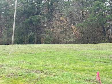 100 Nora Way unit N, Leitchfield, KY 42754 - photo 3