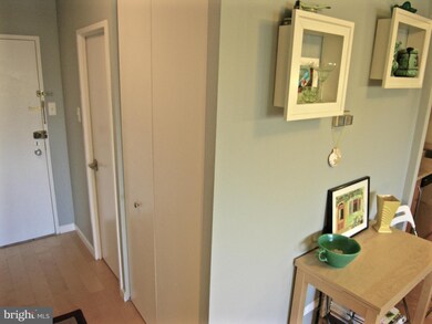 Tiber Island unit N403, Washington, DC 20024 - photo 3