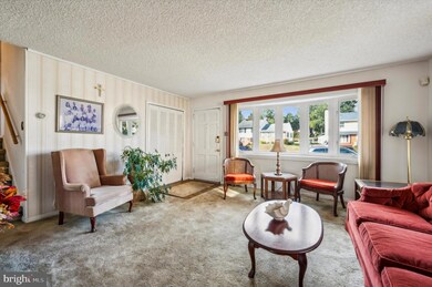 411 Warren Blvd, Broomall, PA 19008 - photo 6