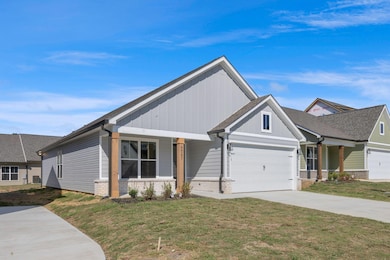 6586 Elizabeth Ann Way, Ooltewah, TN 37363 - photo 3