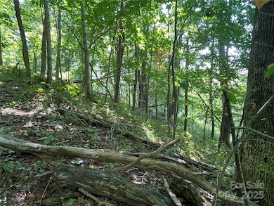 TBD Fletcher Branch Rd, Vilas, NC 28692 - photo 5