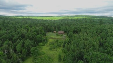 Aerial 1