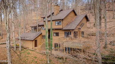 690 Buttermilk Rd, Blountville, TN 37617 - photo 3