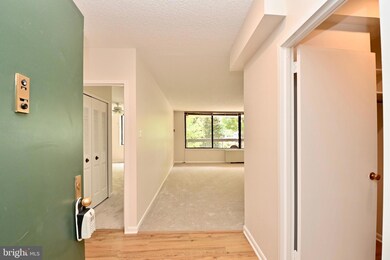 Skyline Plaza unit 103N, Baileys Crossroads, VA 22041 - photo 4